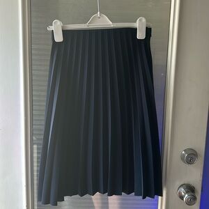 Everlane Navy Blue Size 00 Pleated Classic Skirt